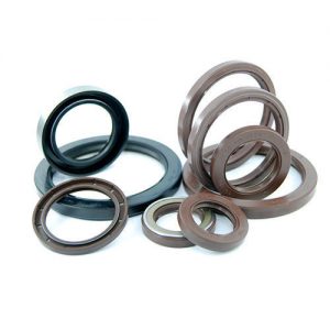Oil Seals